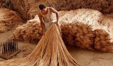 Centre decides to lift the Price Capping of Raw Jute effective from 20th May