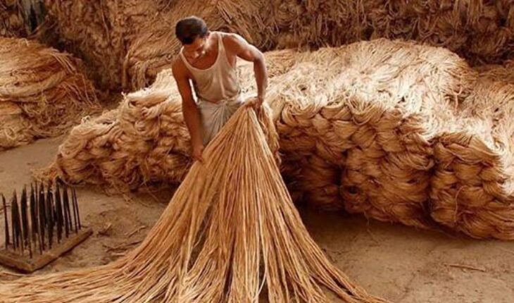 Centre decides to lift the Price Capping of Raw Jute effective from 20th May